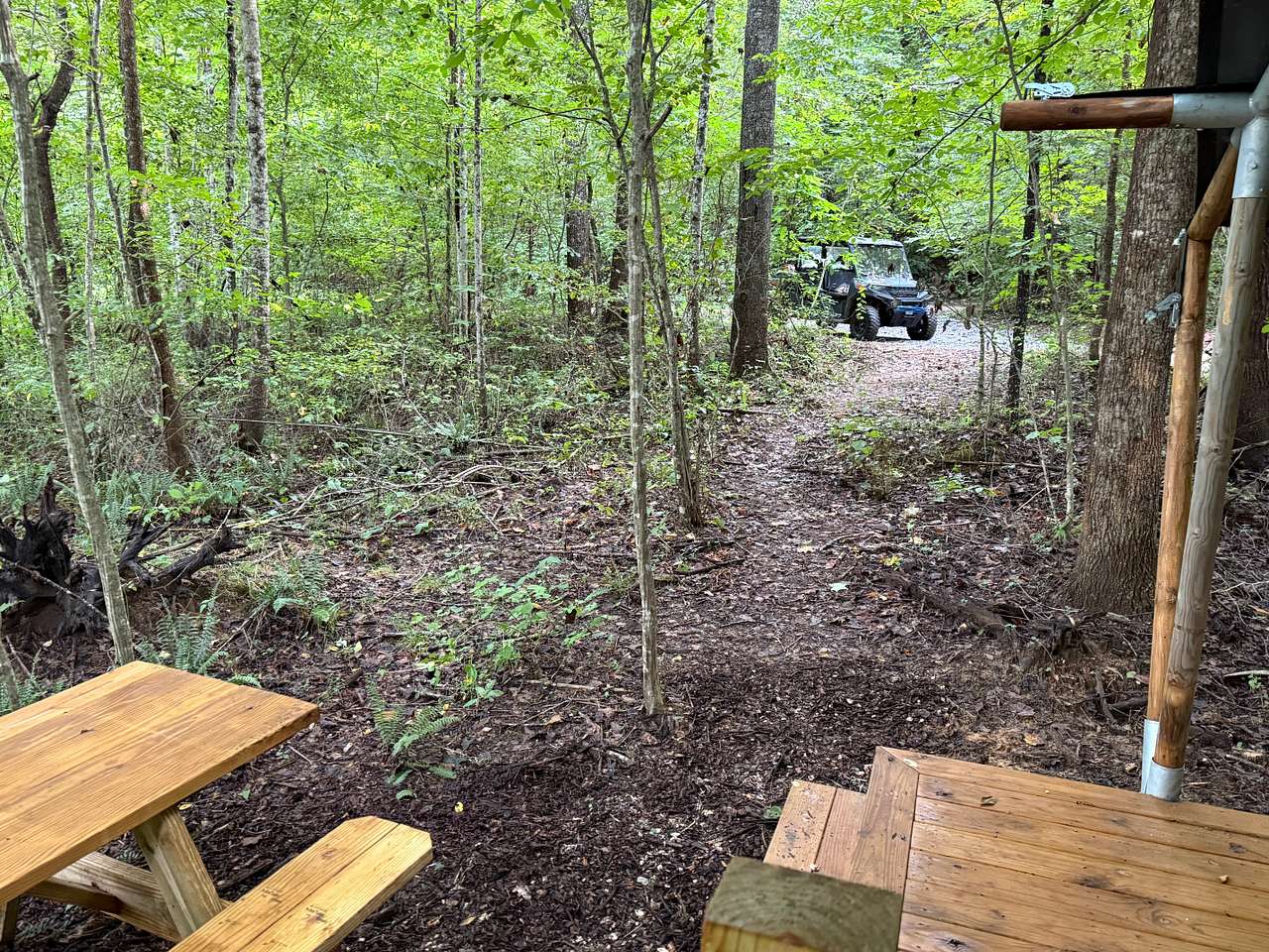 Picture of the site
