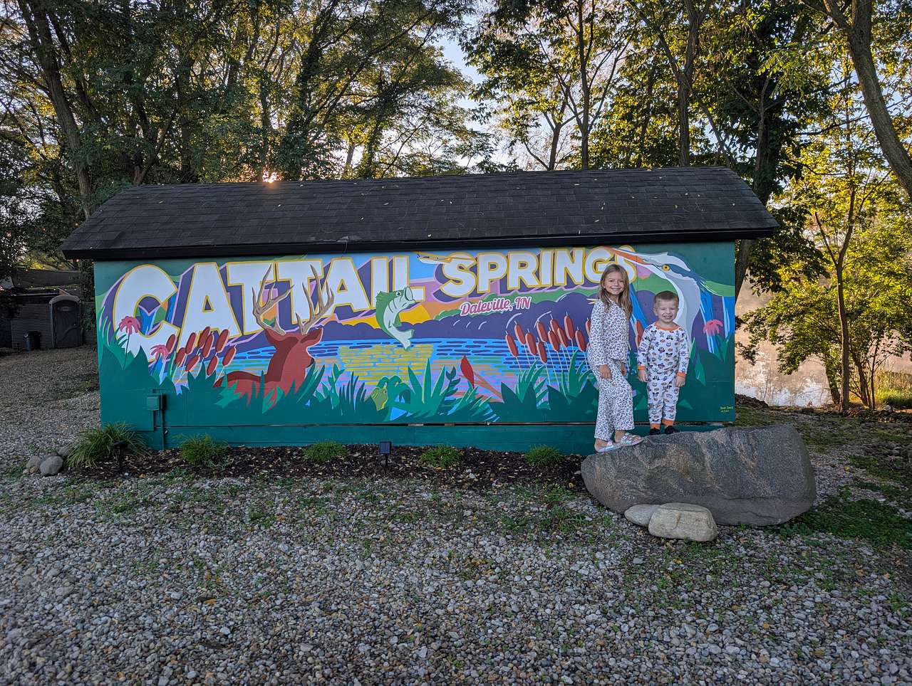 Cattail Springs