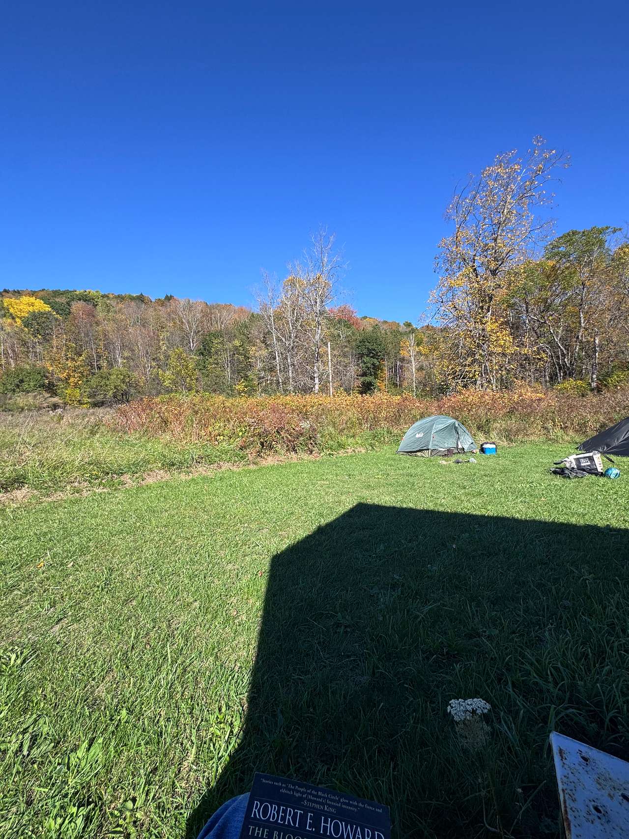 Brookside Camping @ Full Joy Farm