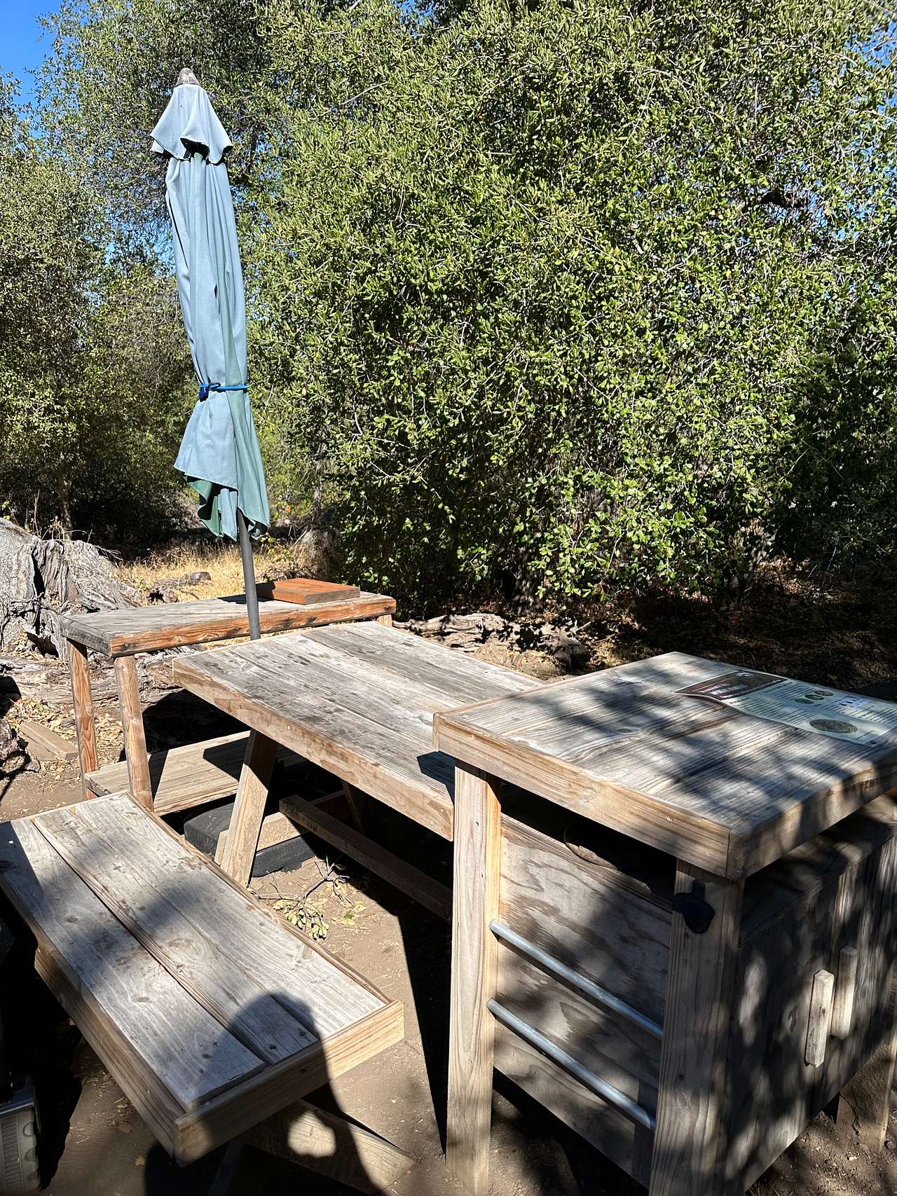 Manzanita Hill Woodland Camping