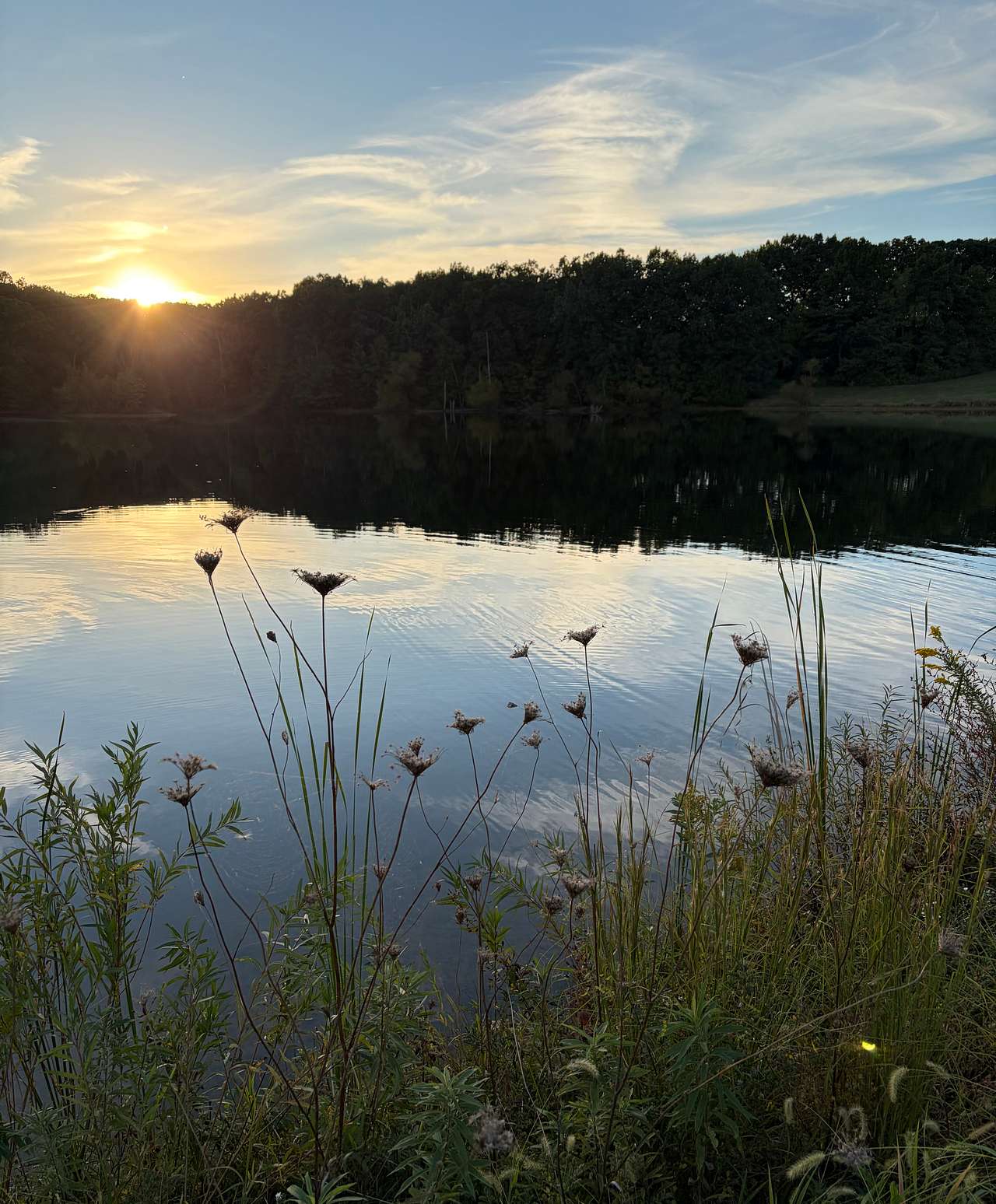 PeaceTree Farms