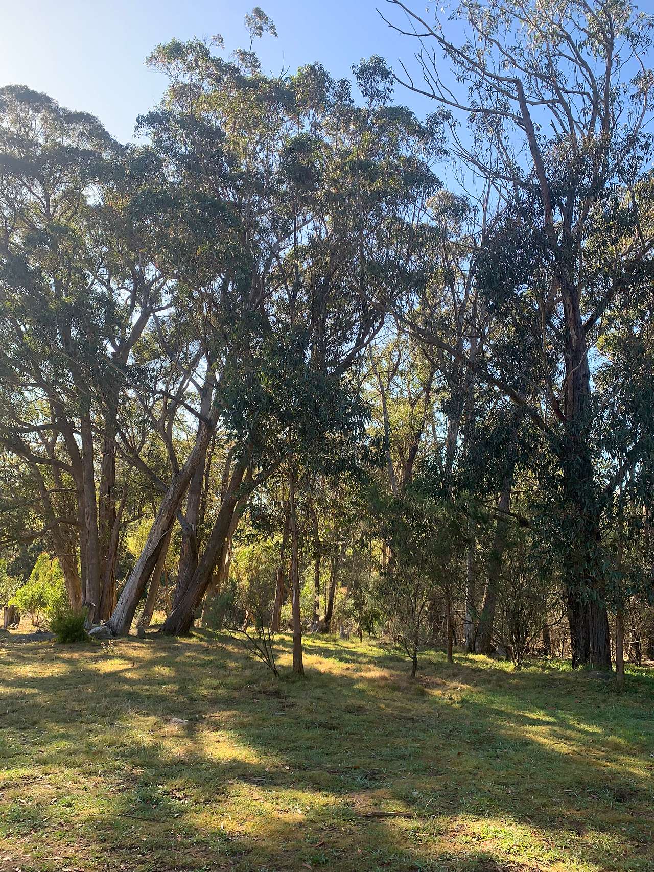 Hidden Brook Southern Highlands NSW