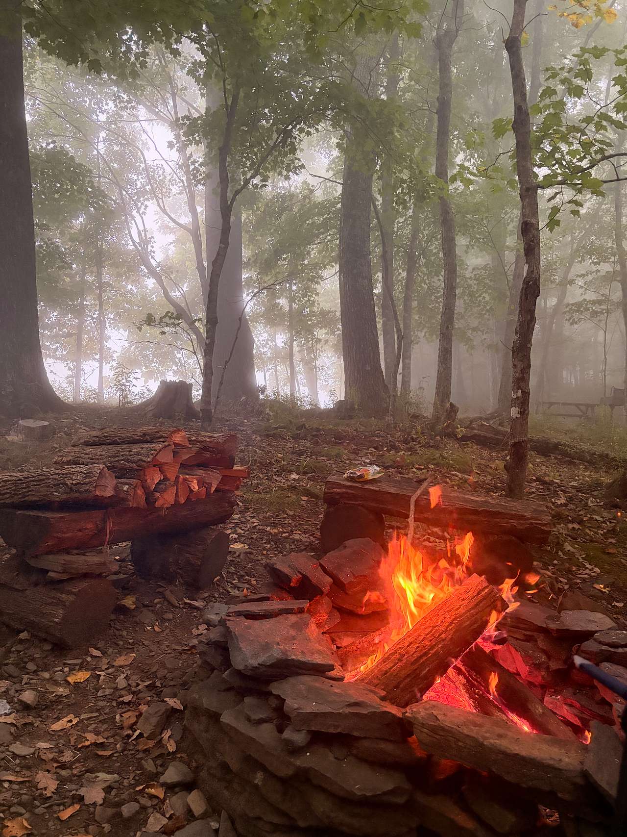 Blue Bear Mountain Camp