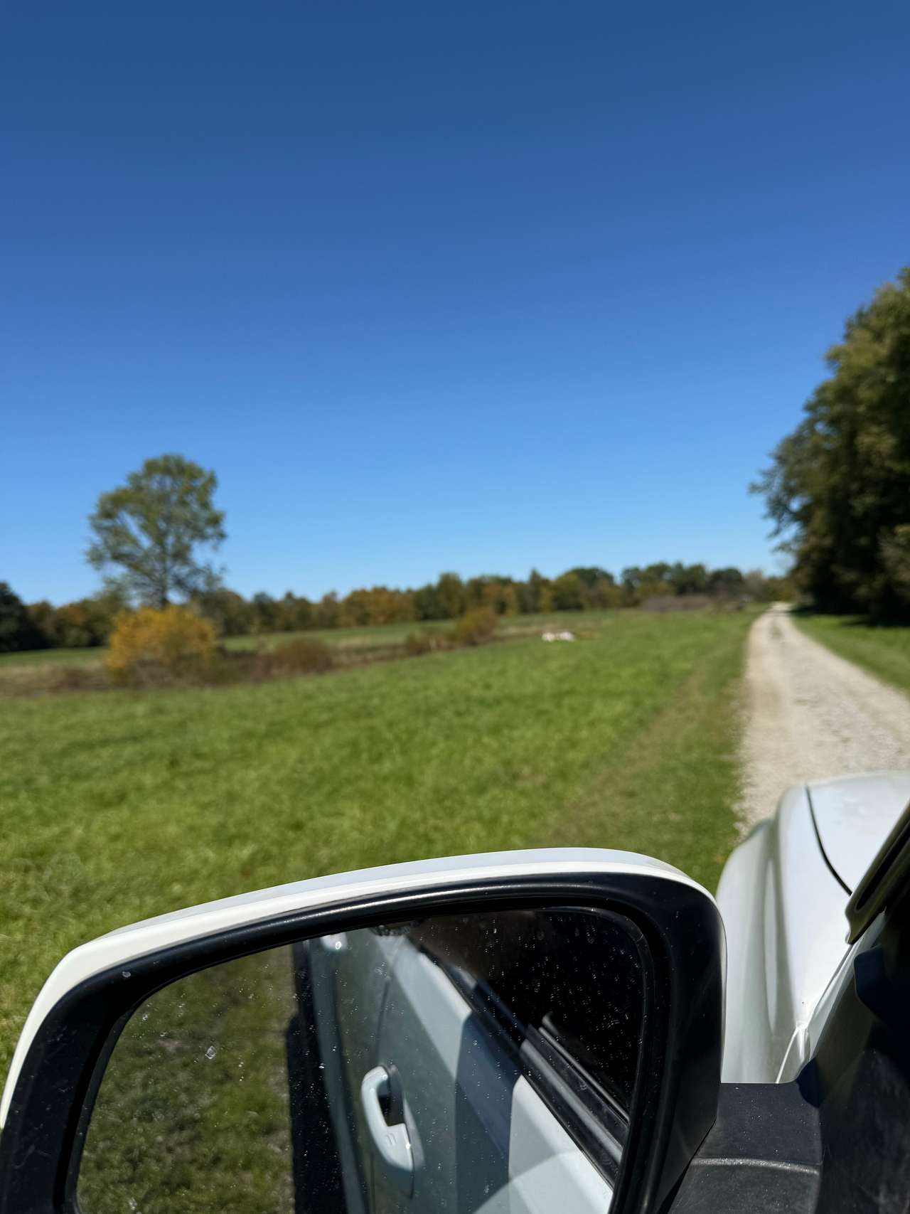The drive
