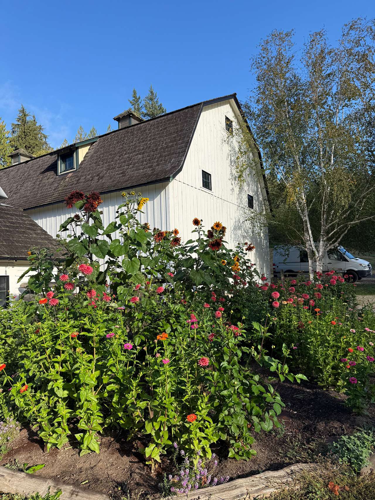 Quilcene Lantern