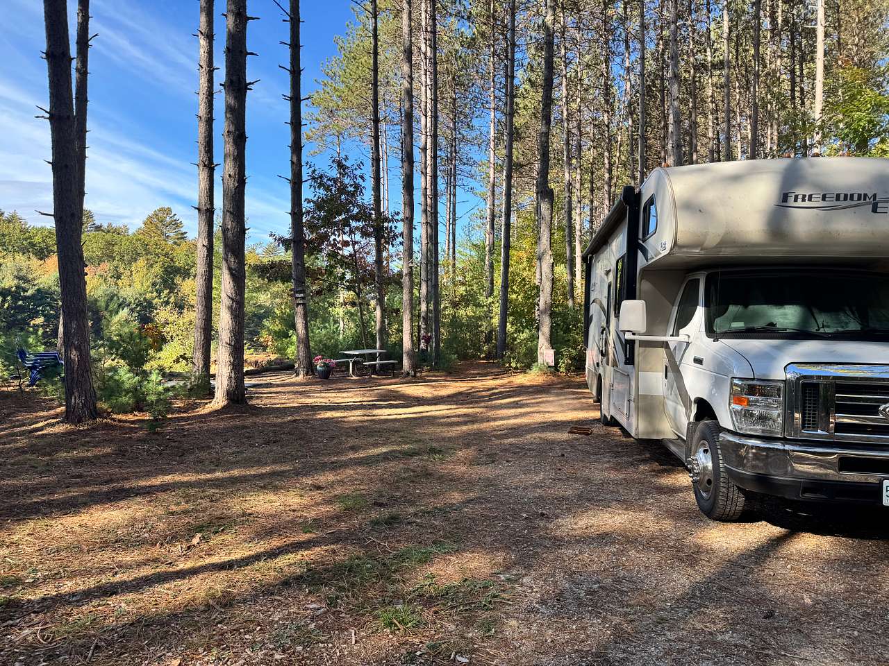 Eagle View Pines