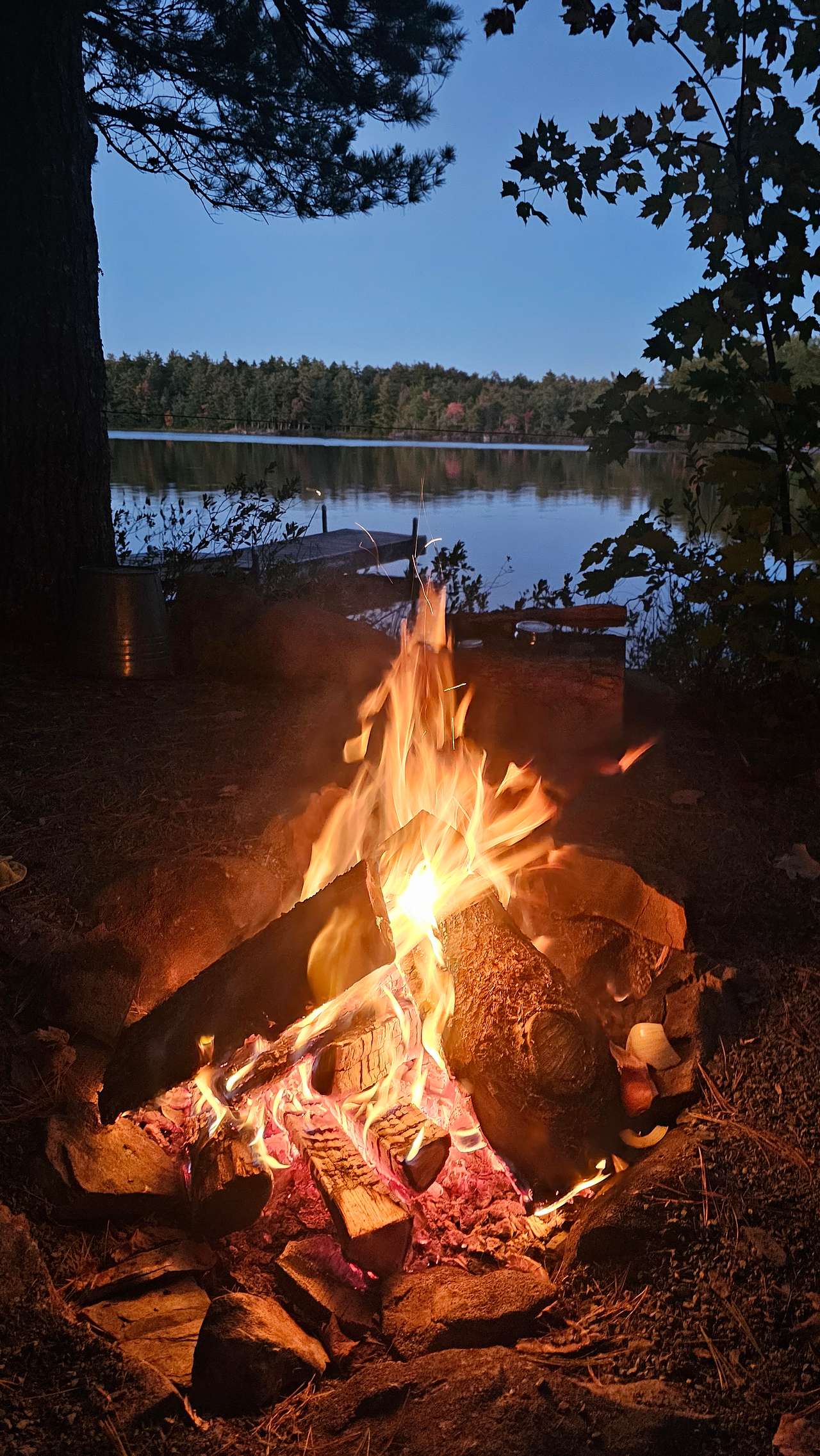 Owl's Hollow Eco-Therapy Glamping