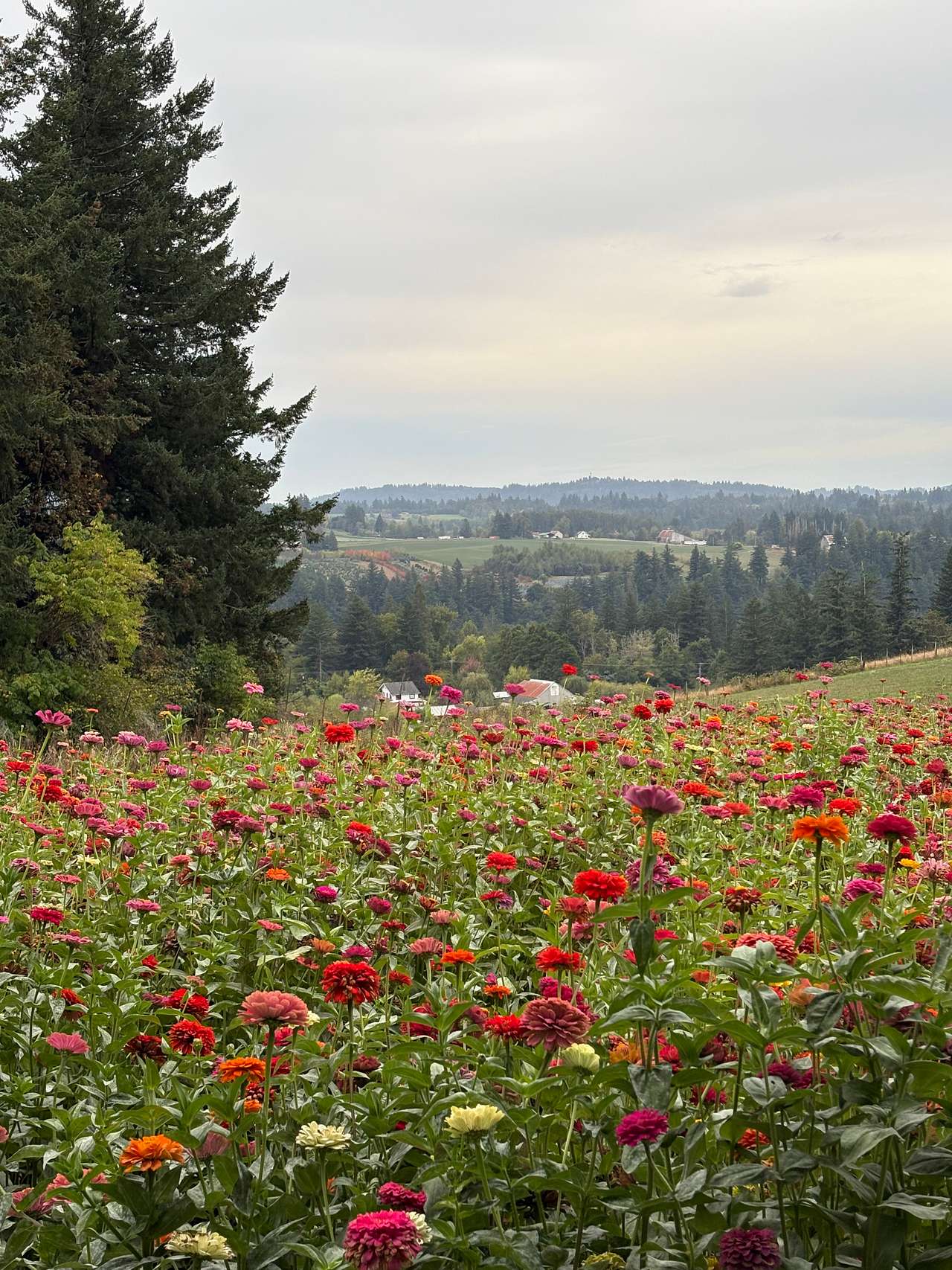 Scenic RV sites Near Columbia Gorge