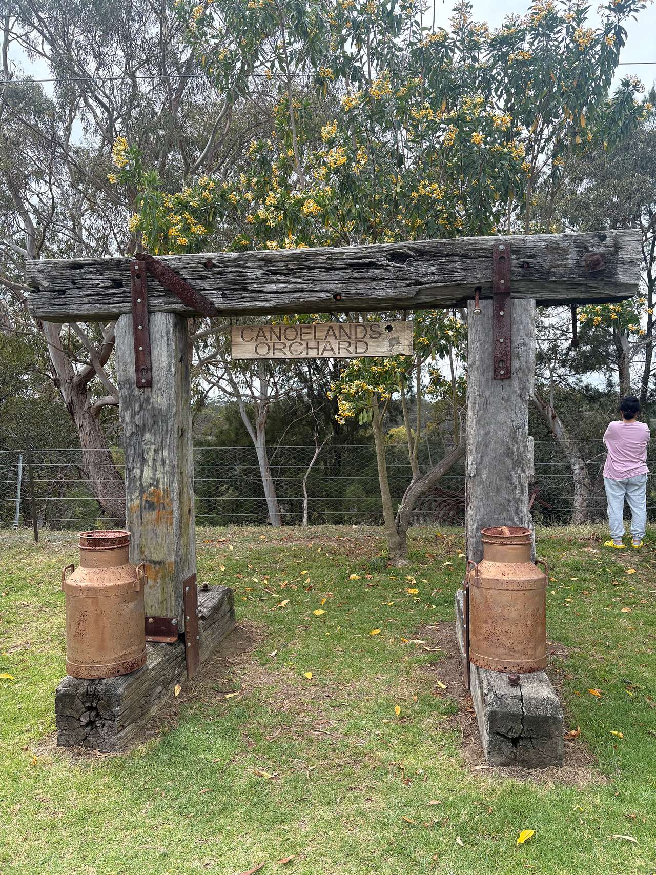Canoelands Orchard Camping