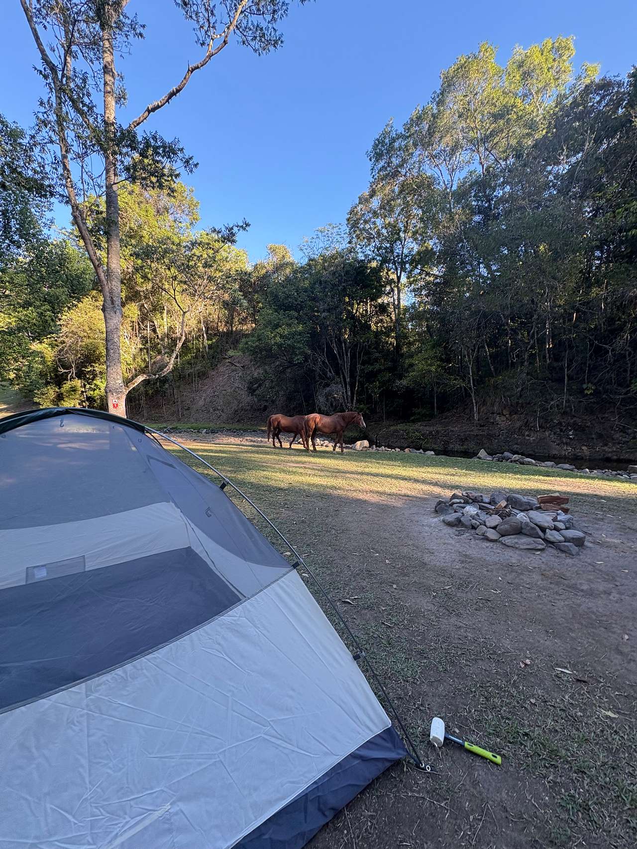 Lacrana by the Creek