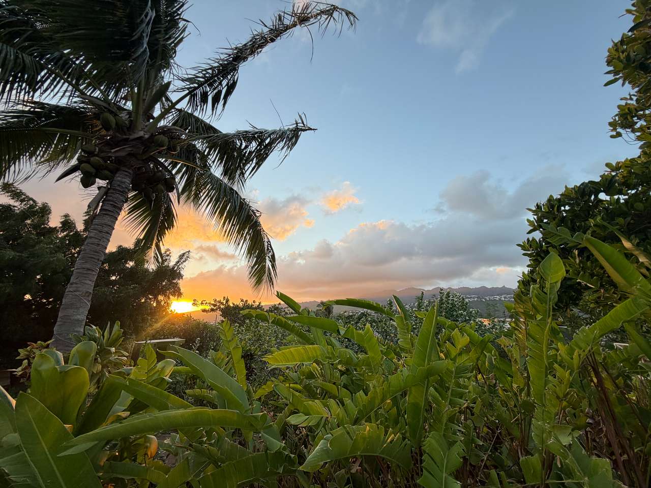 Sun Farm Hawaii @ Koko Head