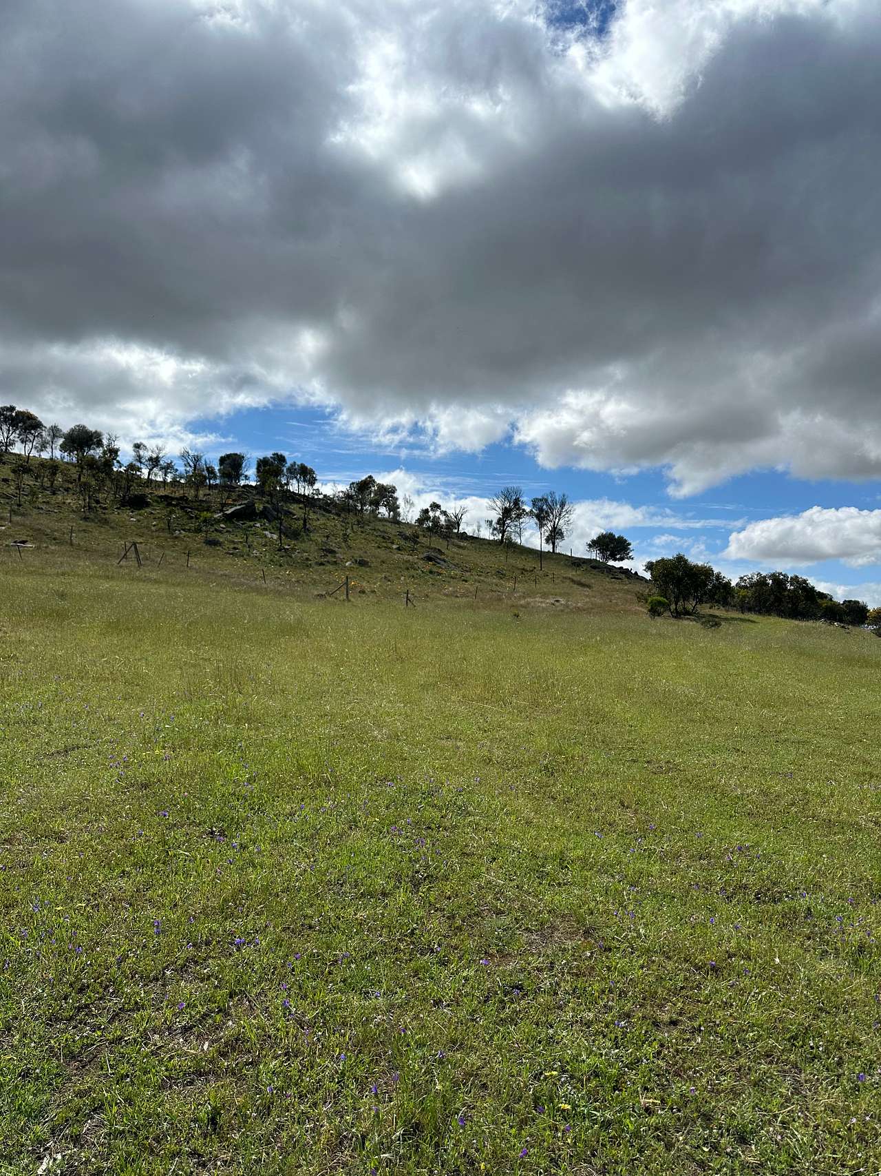 Gum Gully Heights, Rockleigh SA
