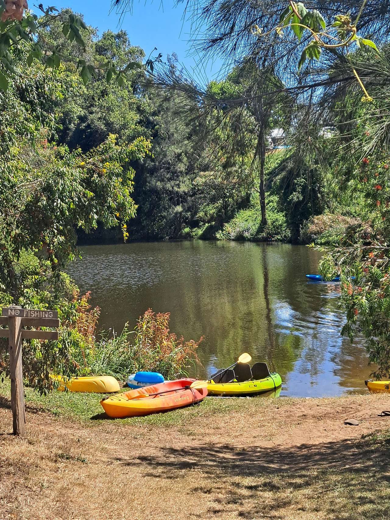 Yabba Creek Farm