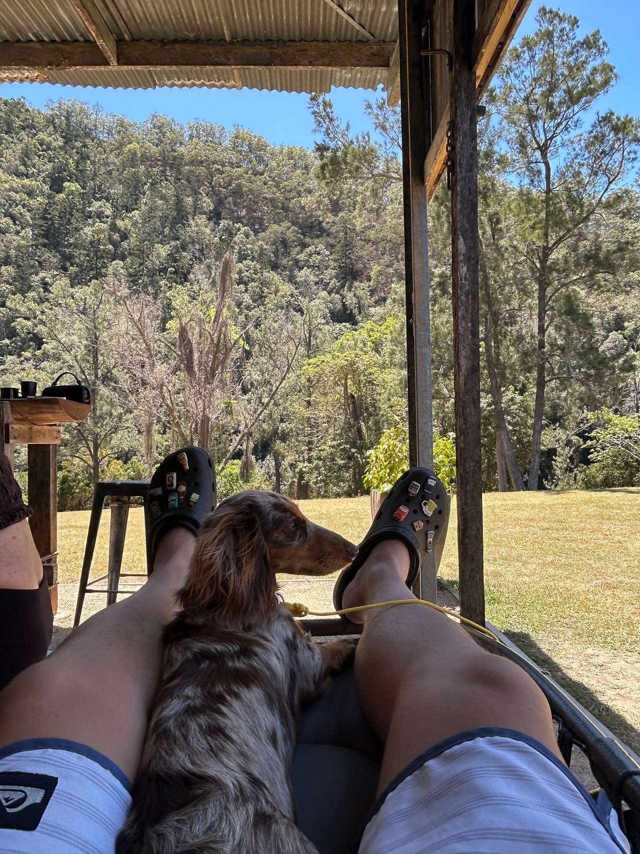 Yabba Creek Farm