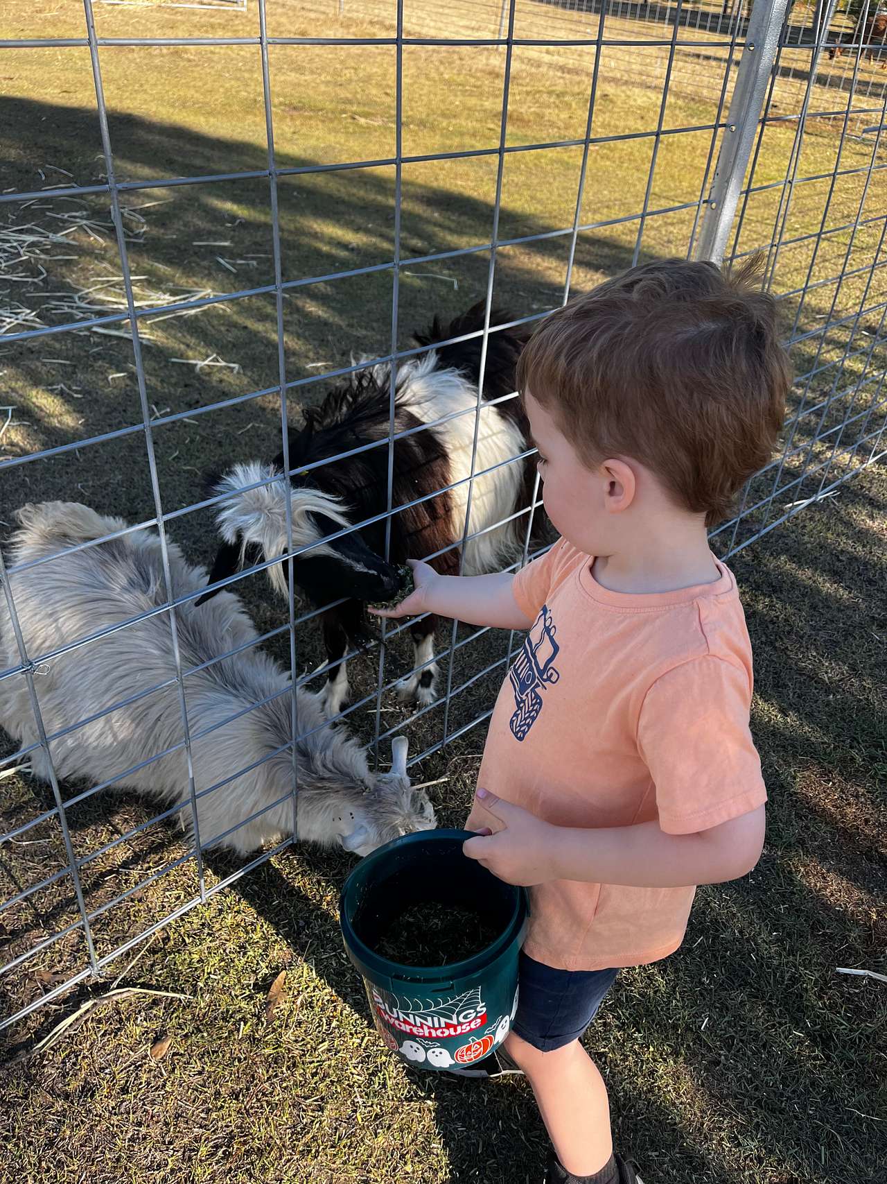 Macallon Farm Stay