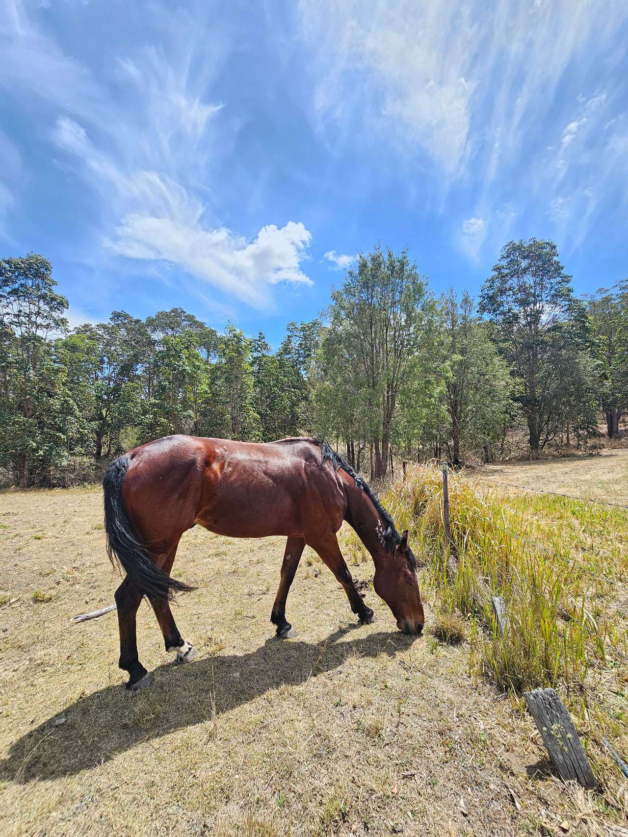 Hilltop Farm, Camping and Glamping.