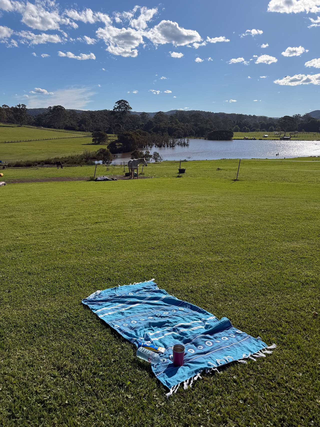 Lakestead Farm