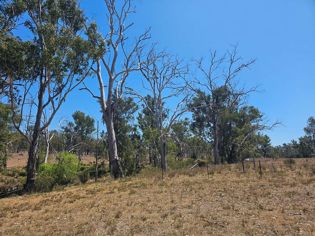 Goldfields-Thanes Creek