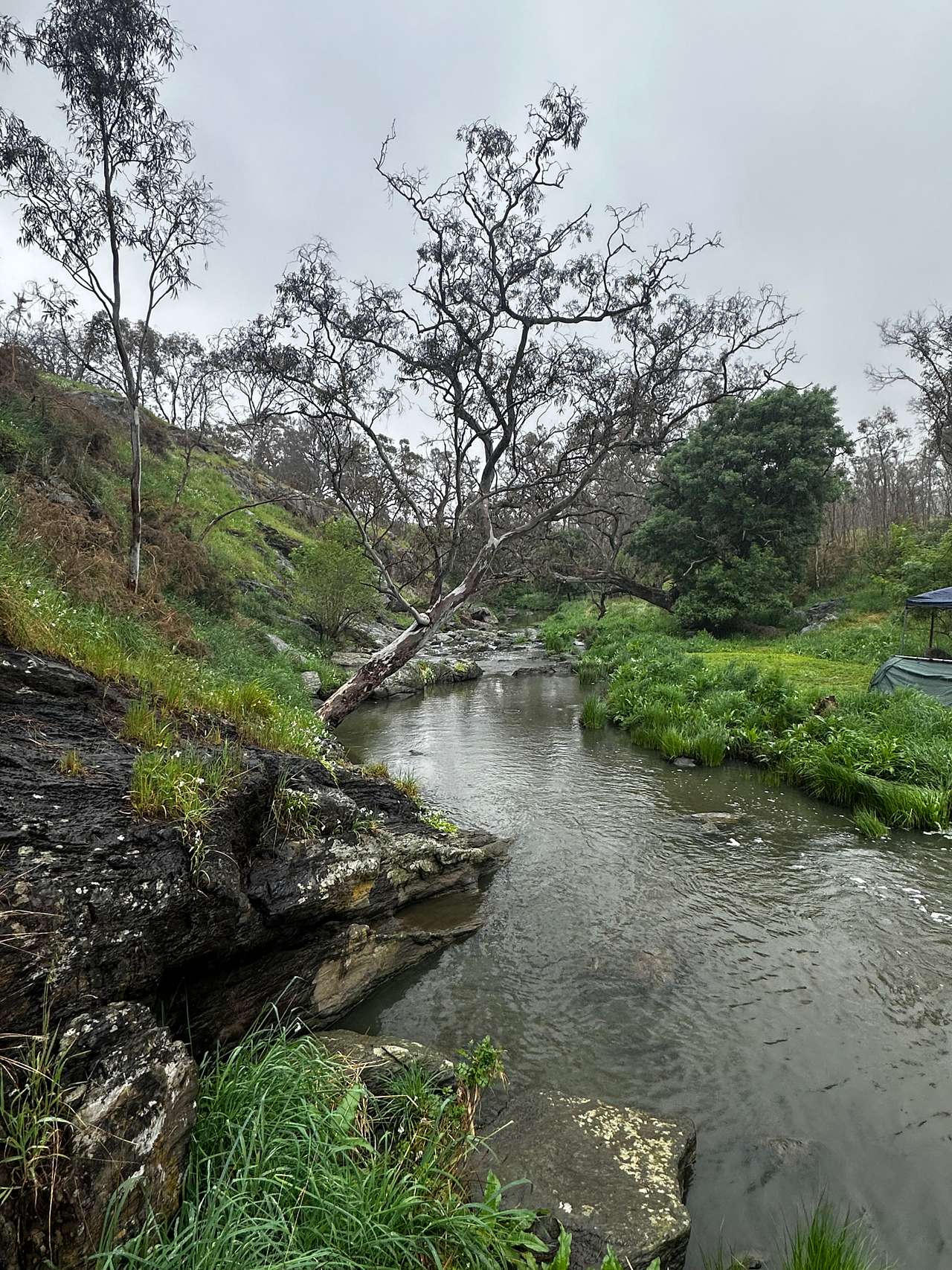 Down the river