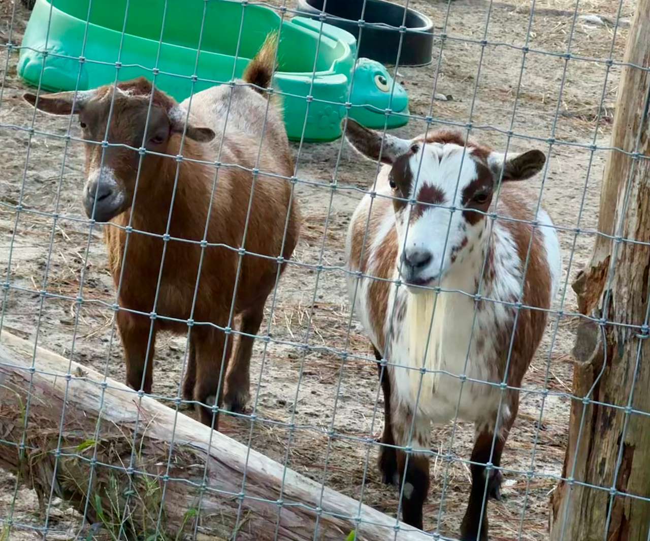 Idlewild Farm Stays