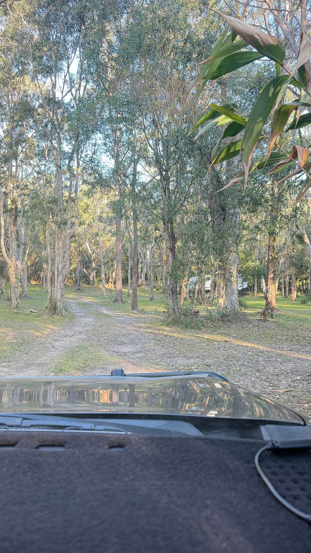 Noosa Hinterland RV and Hip Camp
