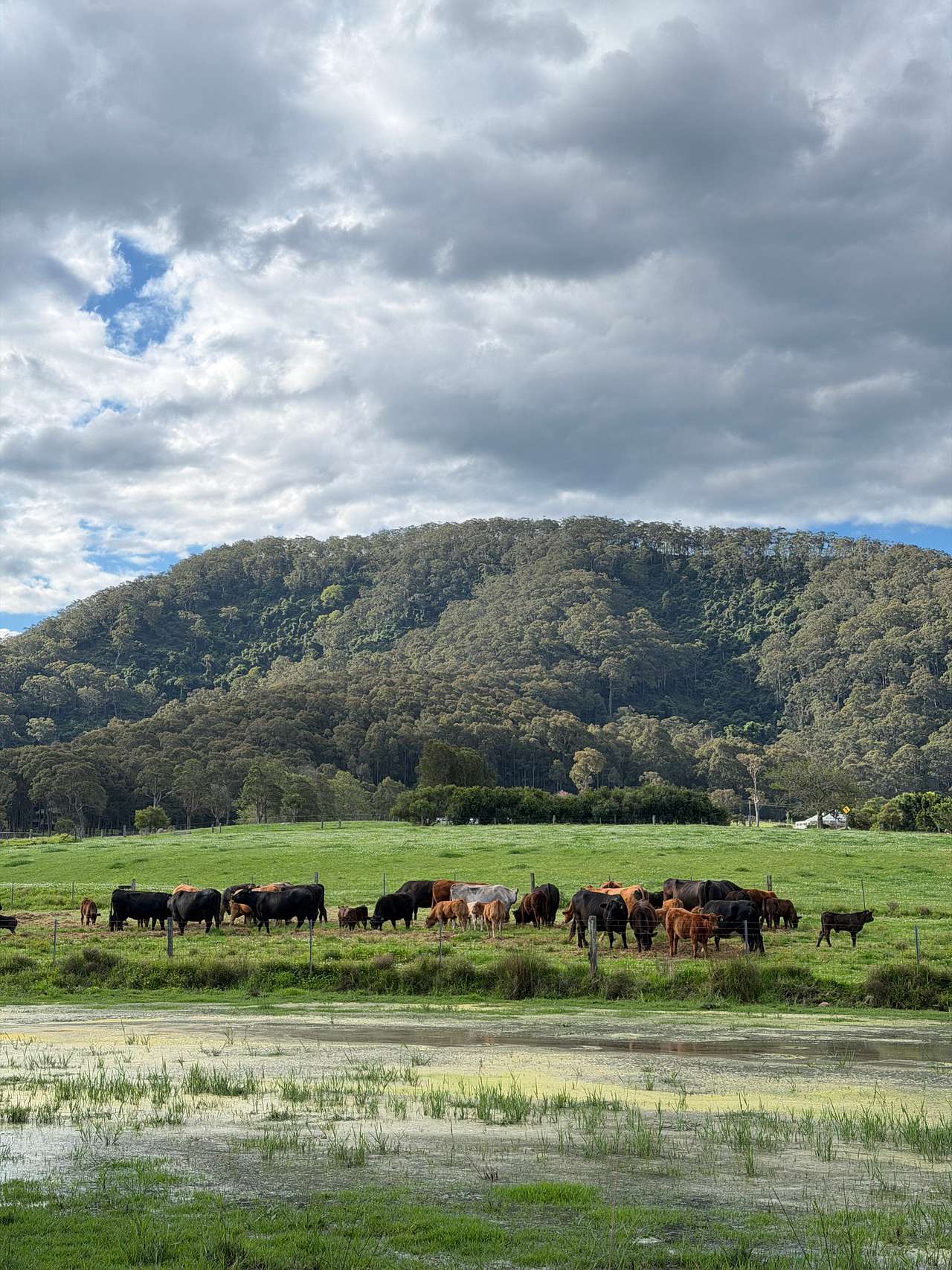 Misty Mountain Farm - Farm Stay