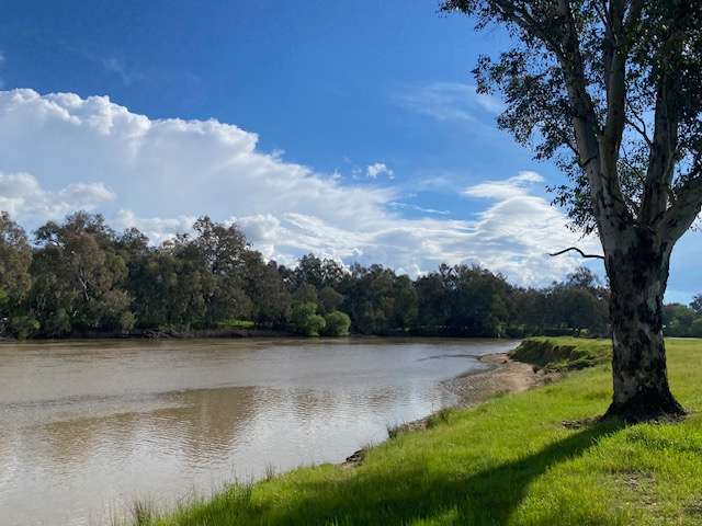 Willowbank on the Murray