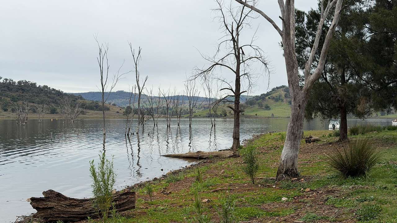 Bowling Alley Point Recreation Reserve Campground