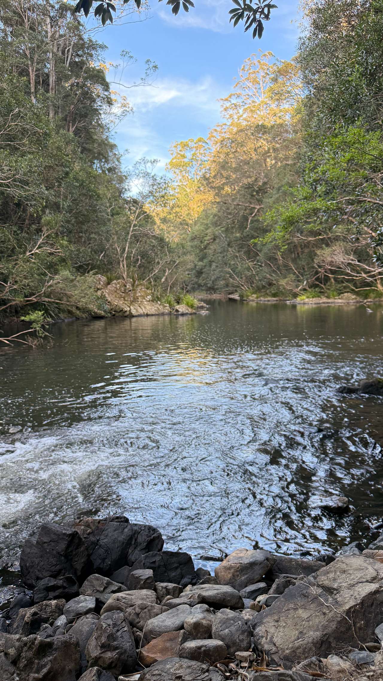 Frog Hollow Rainforest Camping