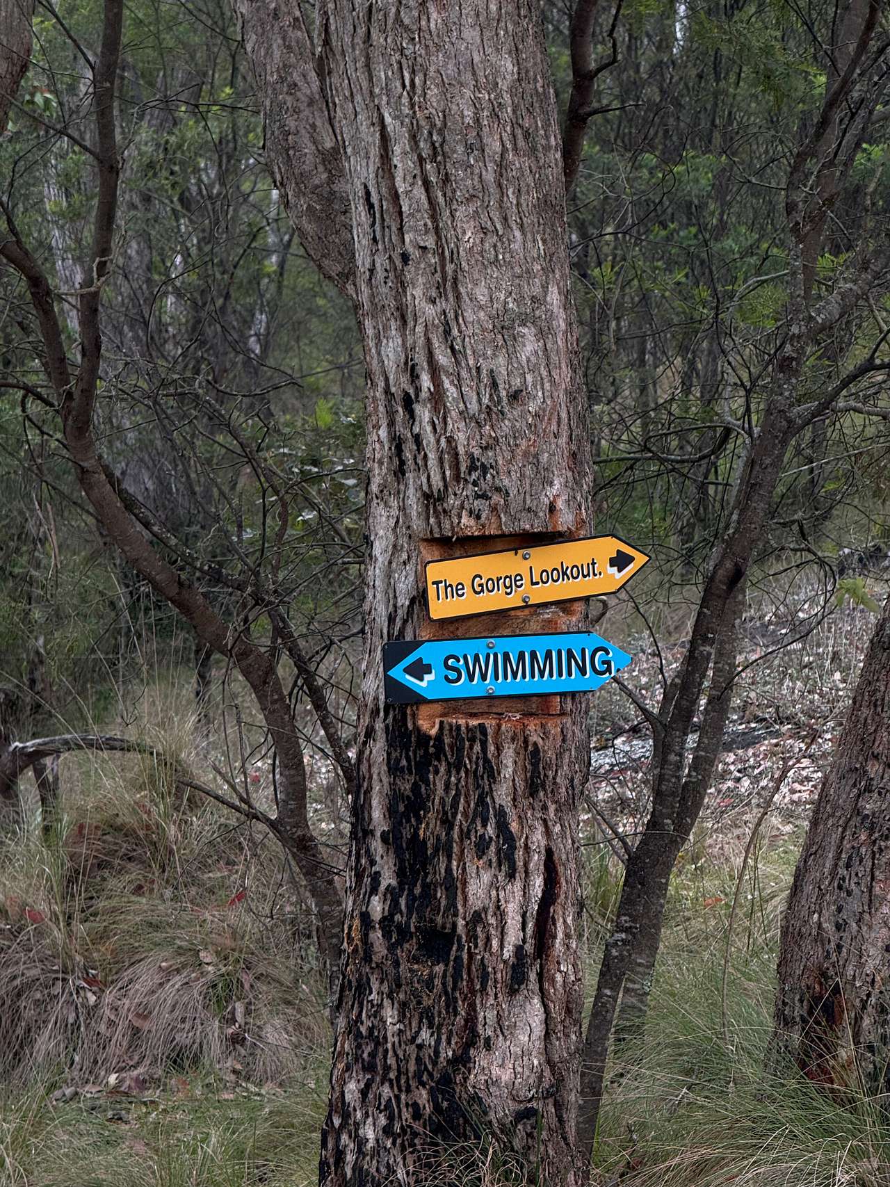 Hike on the property