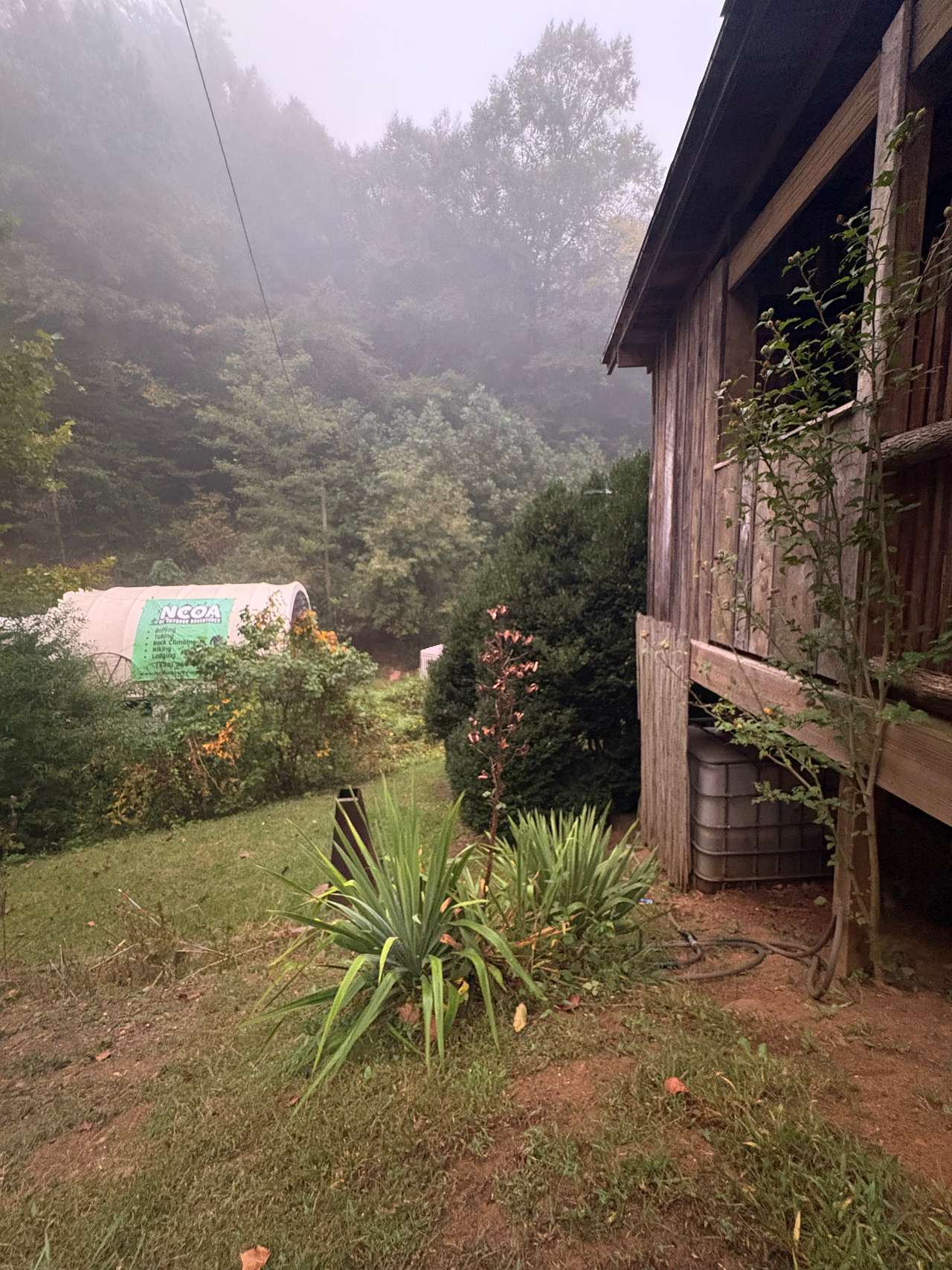 Root Cellar Tiny House