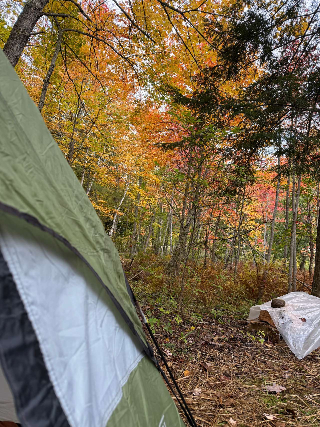 Saranac Lake River Camp