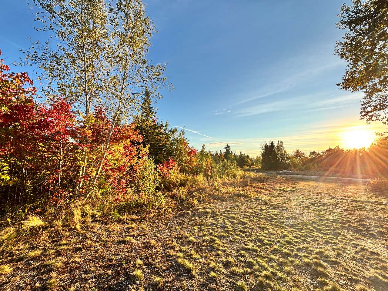 View from site