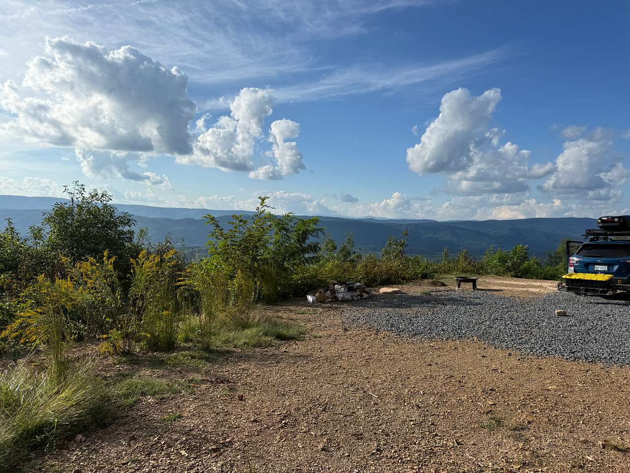 The site