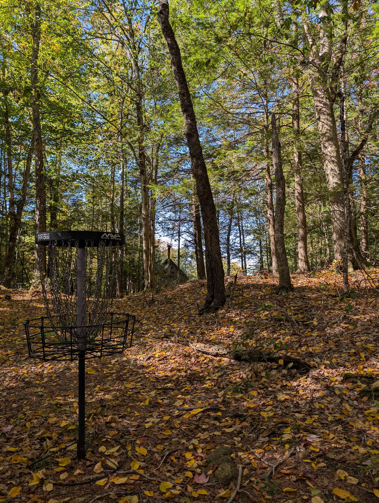 Salamander Hollow Healing Habitat