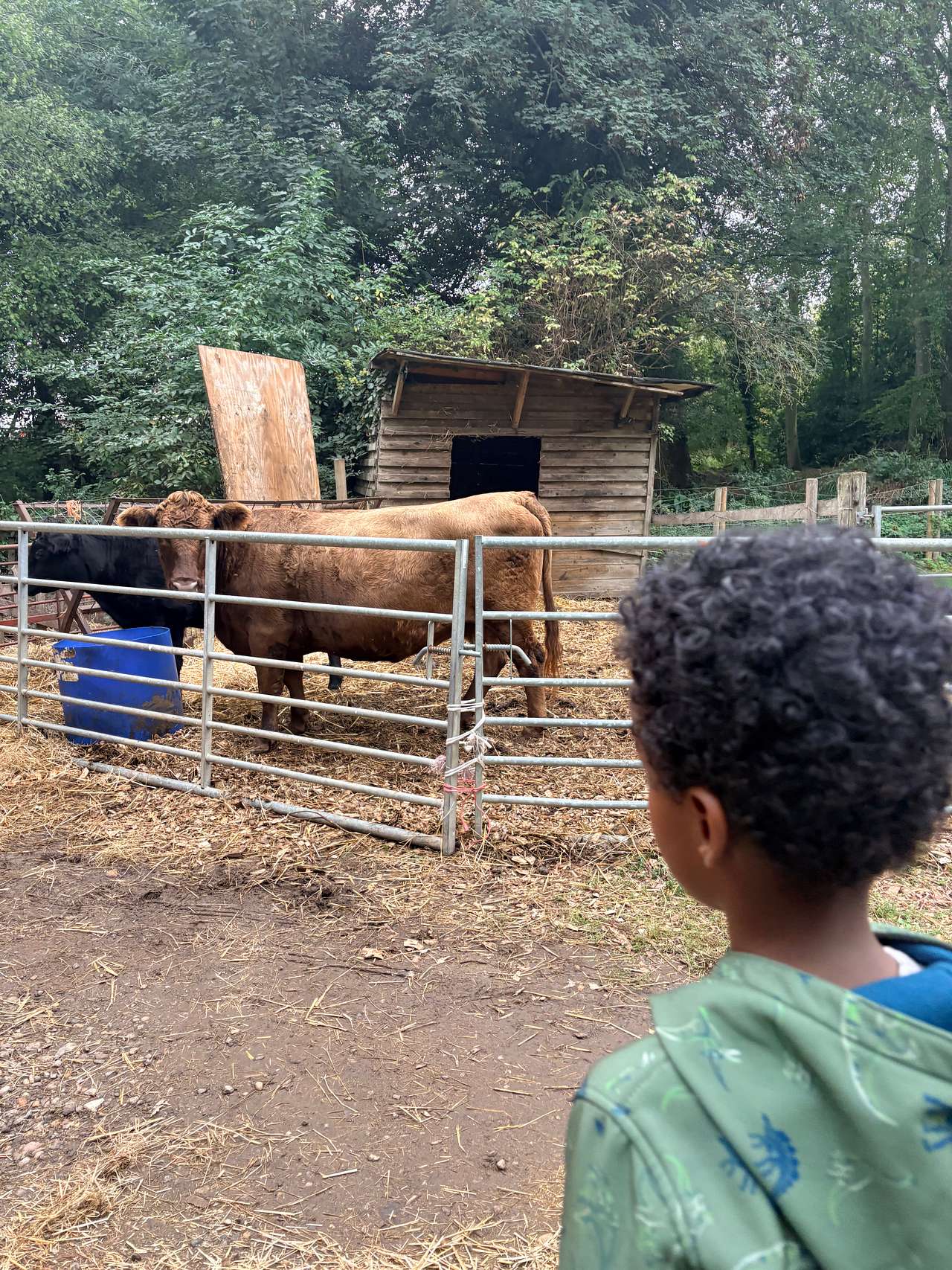 Daisy May’s Farm