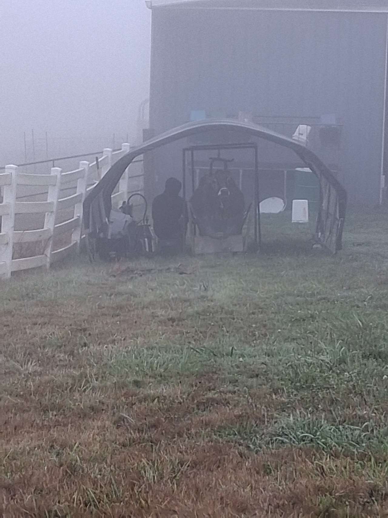 Nice place.  Stargazing at night. Watched the farm hand milk two how's in am. Pretty sweet