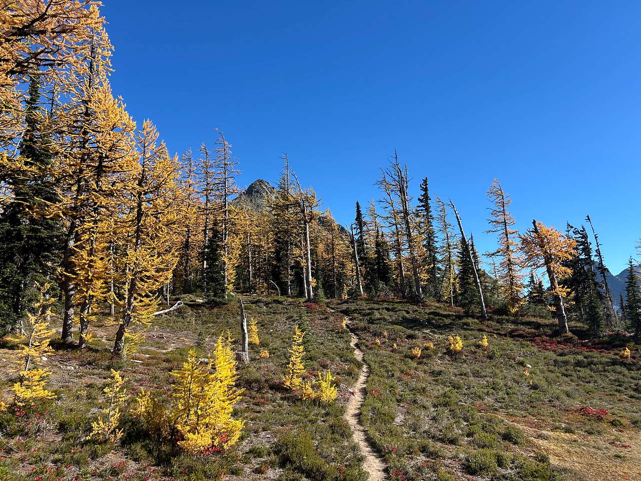 The hike we did in the North Cascades 💛