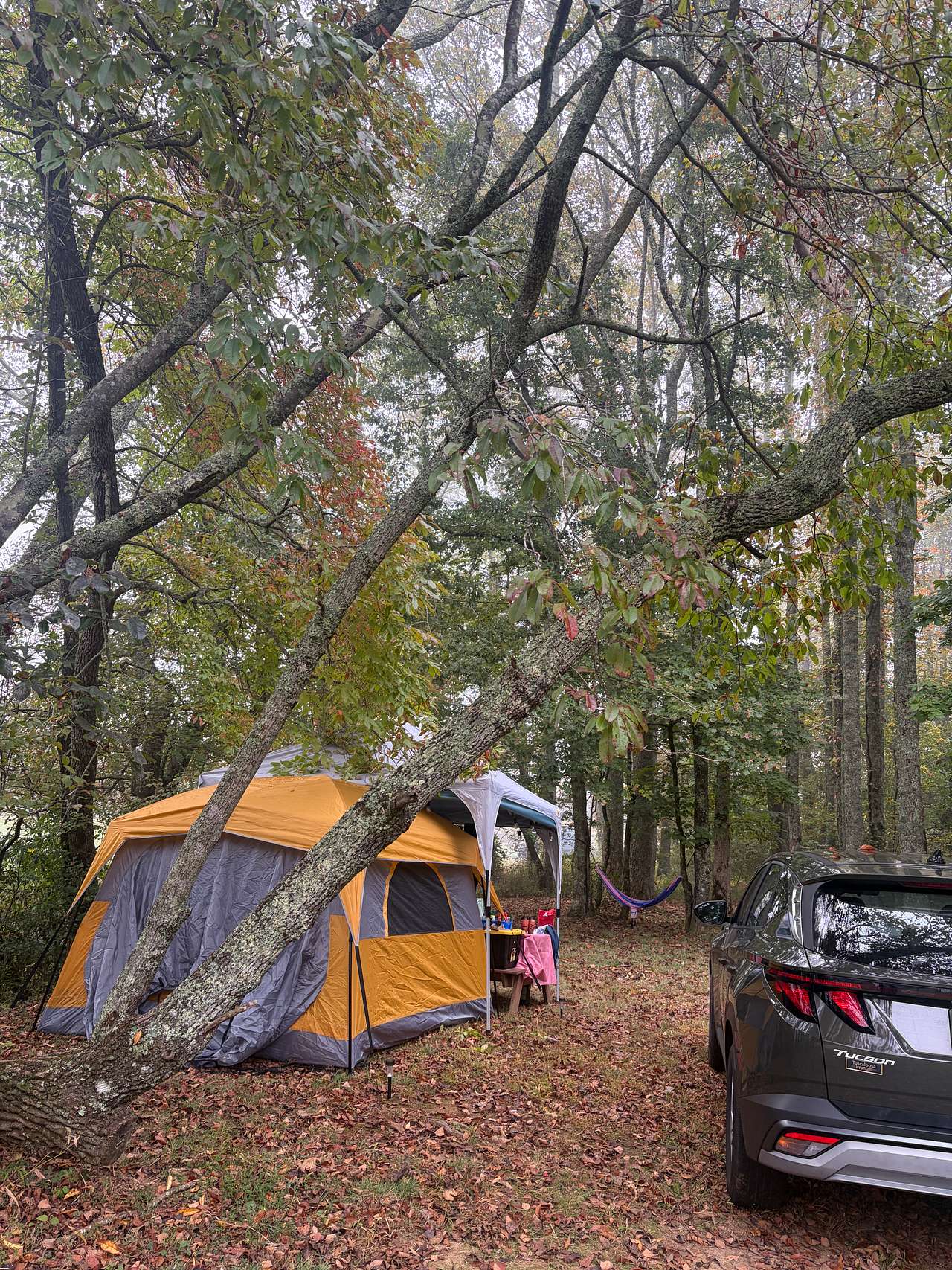 Kennedy Creek Resort and Campground