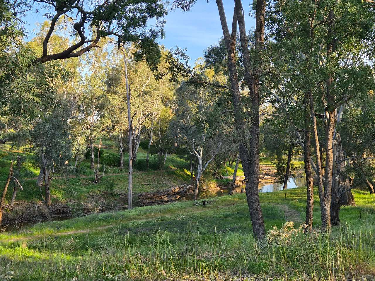 We stayed in site 4 which was nice and private and a beautiful view of the creek!