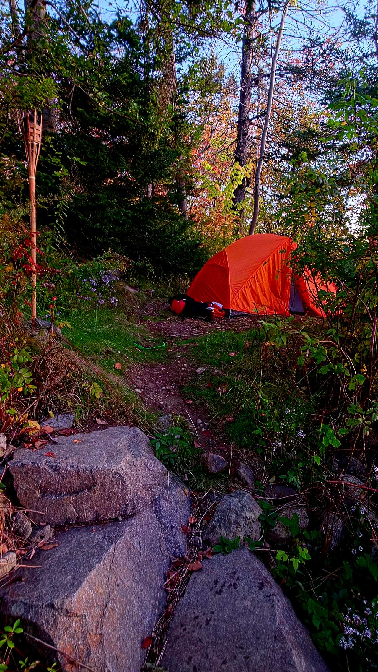 Tent site for Campsite 1