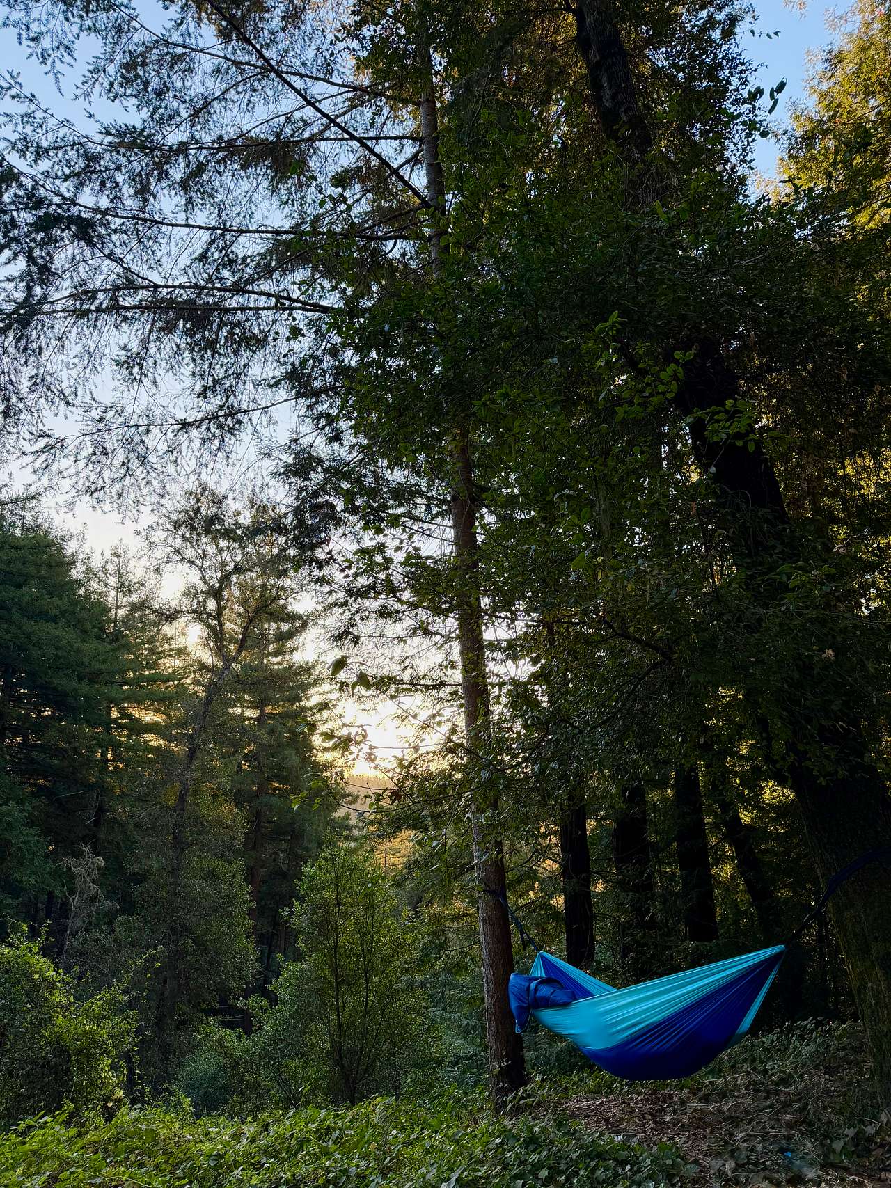 Fern Ridge Flats - Private Camping