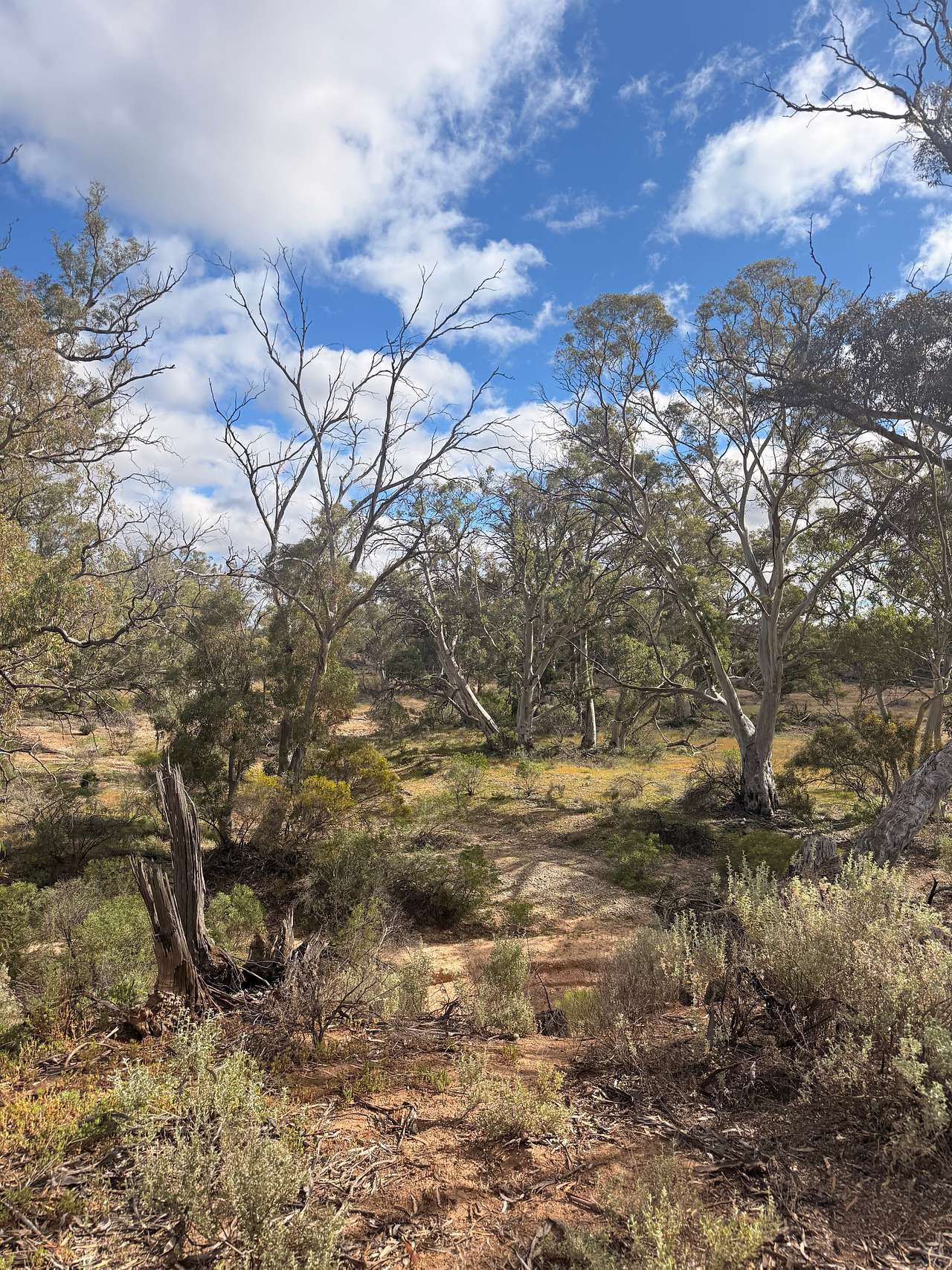 Burra Creek Camping