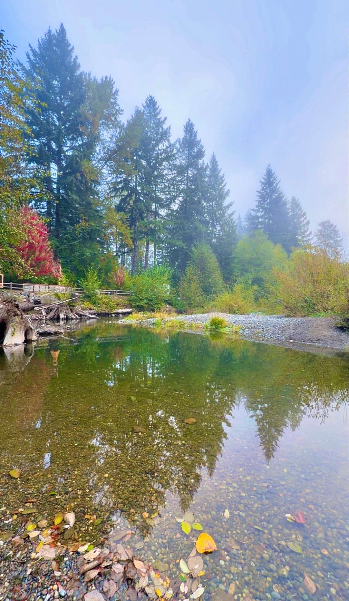 Tahuya River Lodge Campground