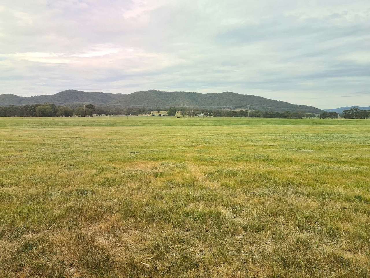 Pleasant View