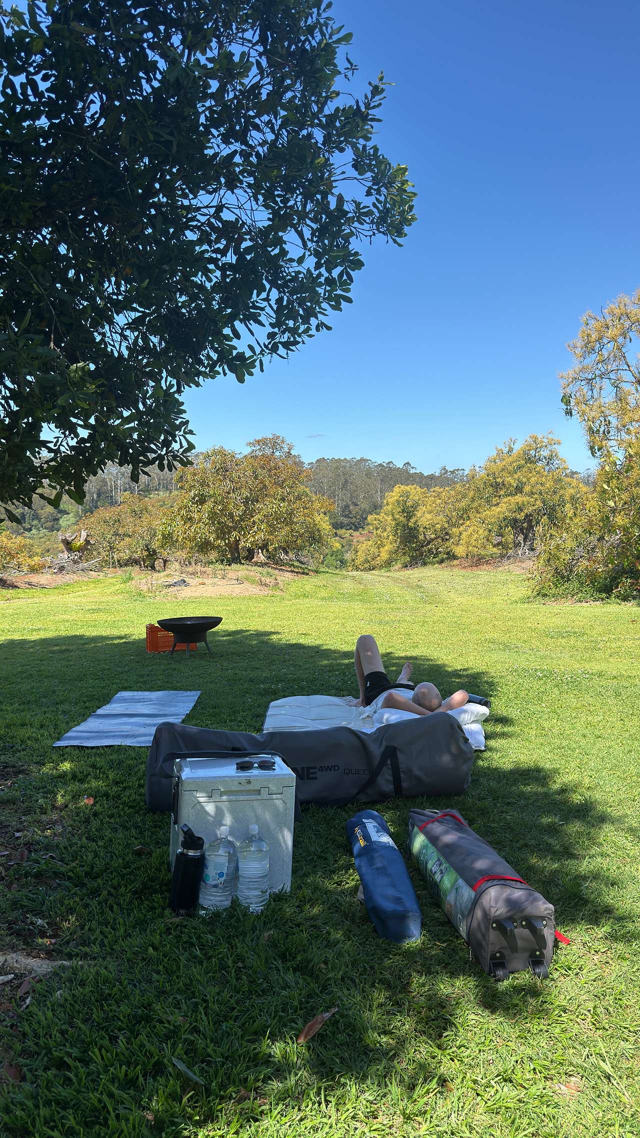 Tremayne - The Old Avocado Farm