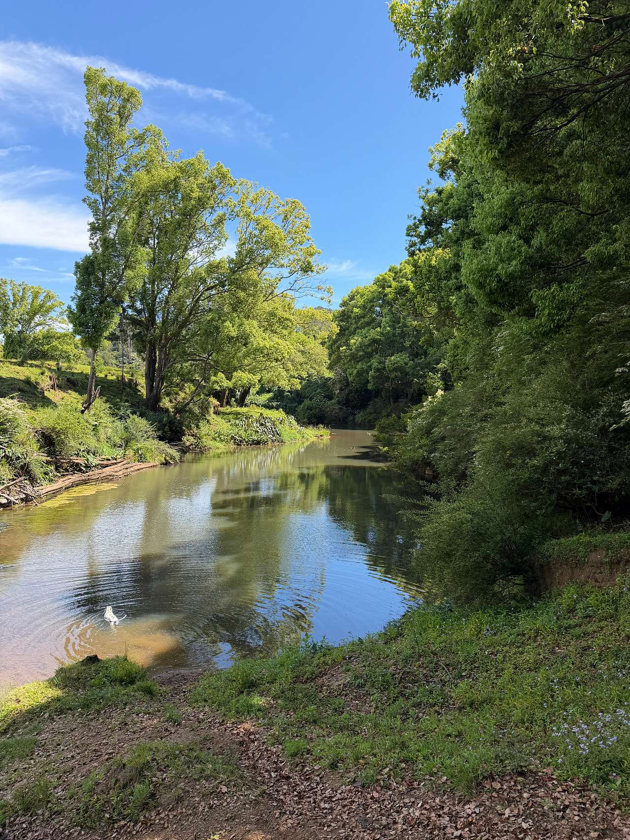 Wilson River Retreat