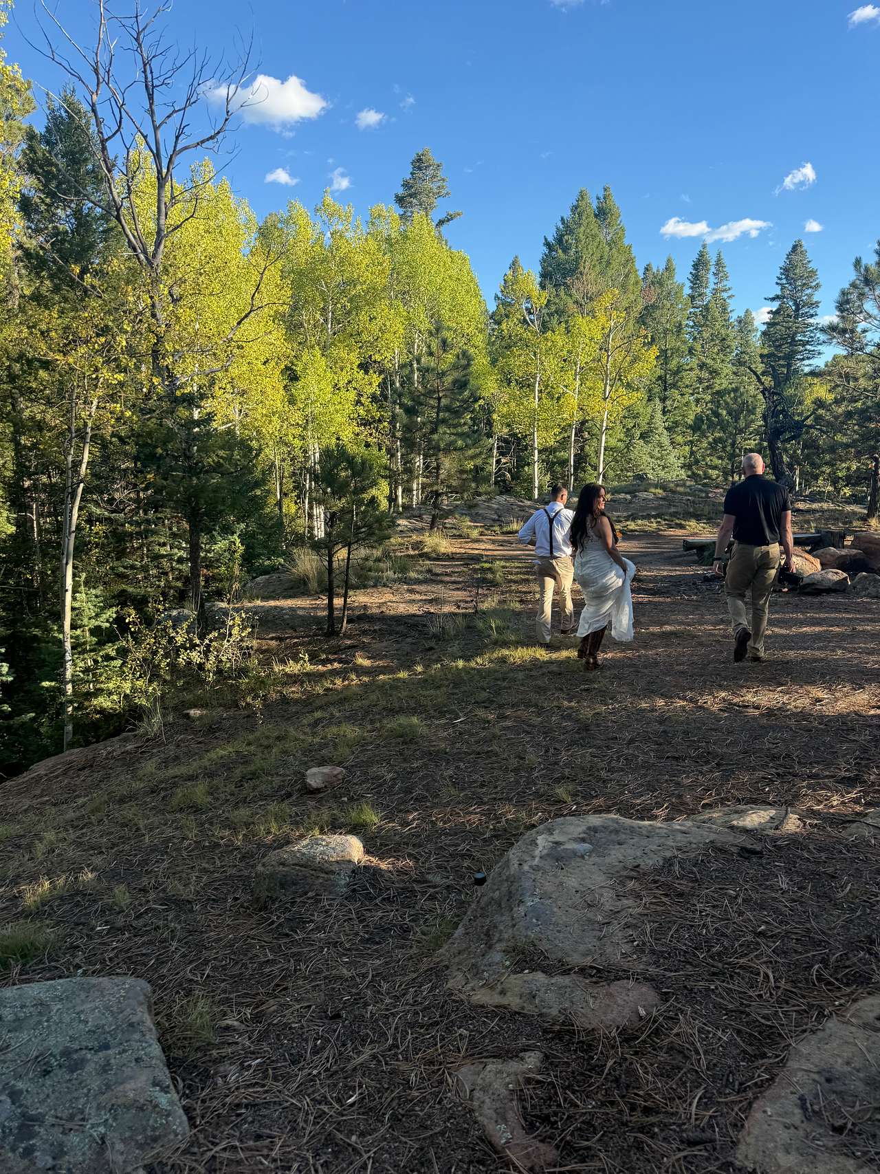 Horses stopped by after hiding from the staff