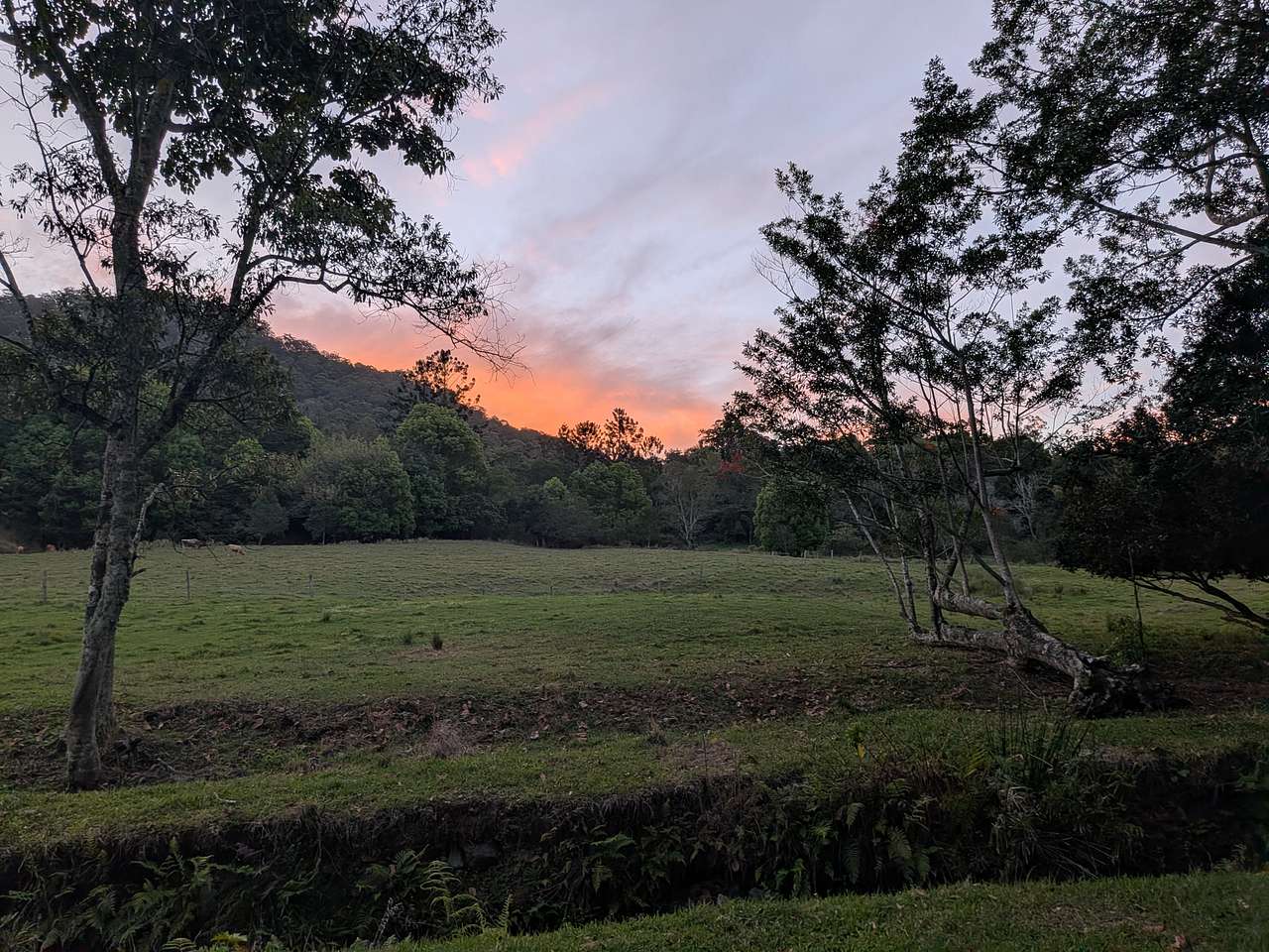 Cedarton Farm Stays