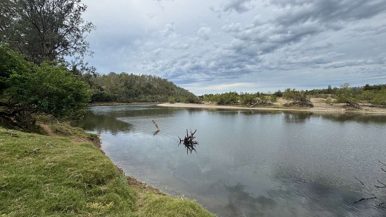 Winegrove